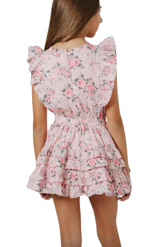 GUSTAVIA DRESS IN PINK