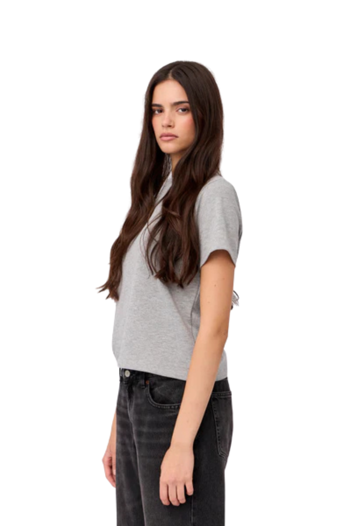 CAMISETA ALGODON GRIS