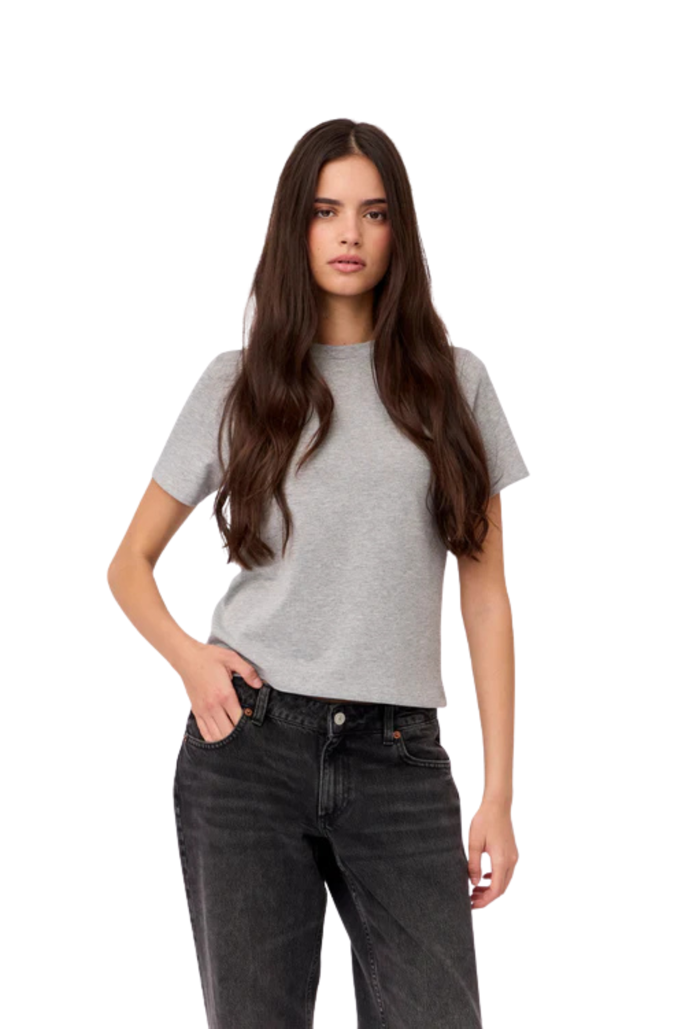 CAMISETA ALGODON GRIS