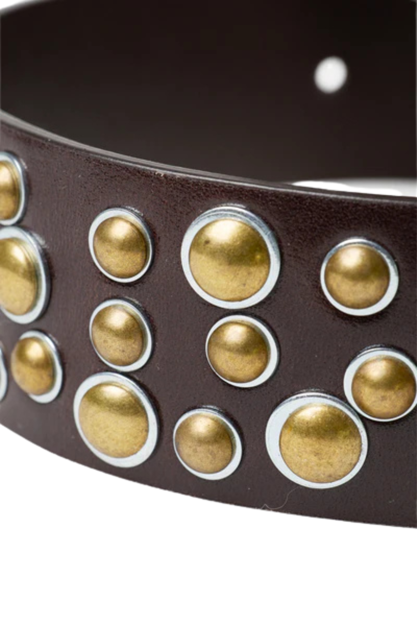 CINTURON STUDDED MARRON