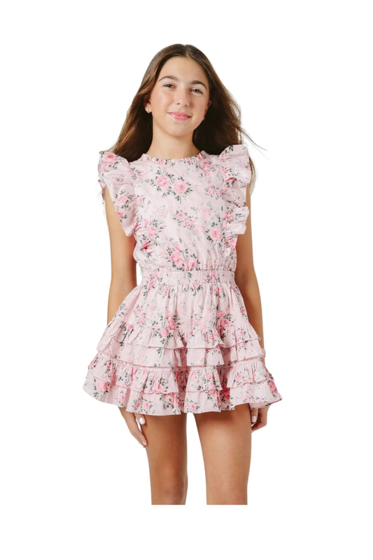 GUSTAVIA DRESS IN PINK