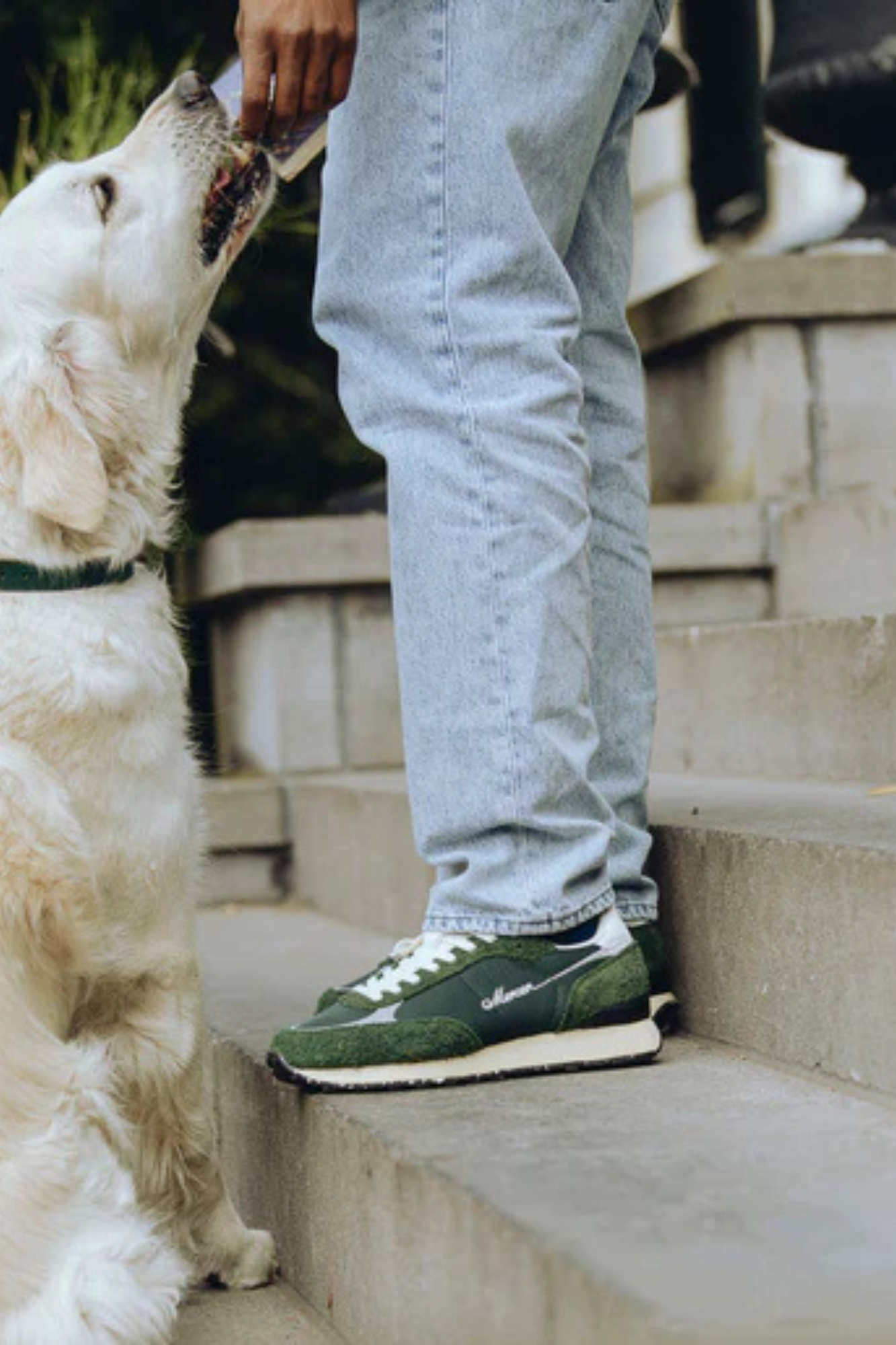 THE RE-RACER GREEN